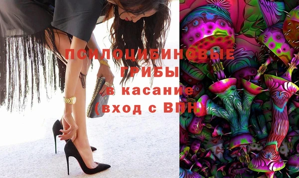 МДПВ Армянск