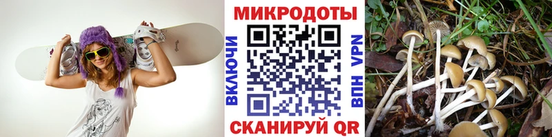 мега маркетплейс  Кубинка  Галлюциногенные грибы ЛСД  цена наркотик 